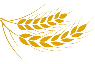 korn_icon